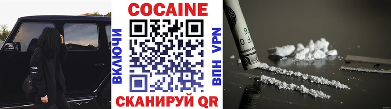 как найти закладки  Надым  COCAIN Fish Scale 
