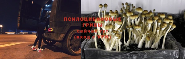 ECSTASY Наволоки