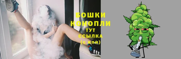 ГАЛЛЮЦИНОГЕННЫЕ ГРИБЫ Надым