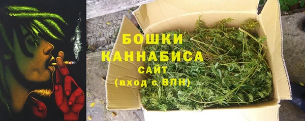 винт Нея