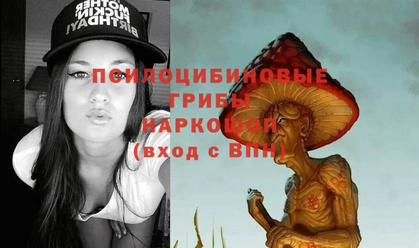 винт Нея